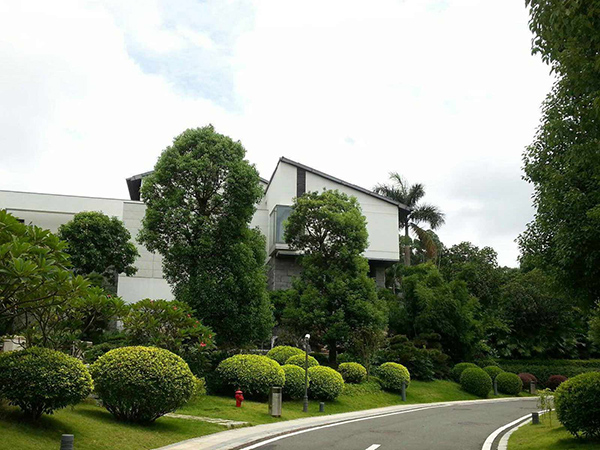 綠化苗木1.jpg