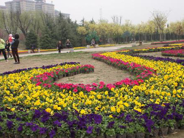 時令花卉.jpg