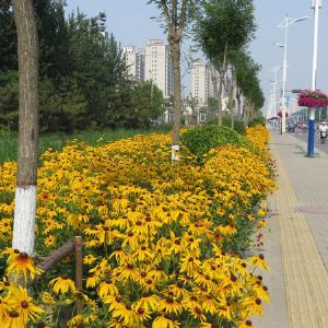 工程案例
