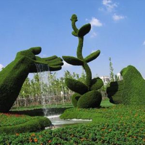 五色草造型