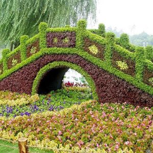 五色草造型